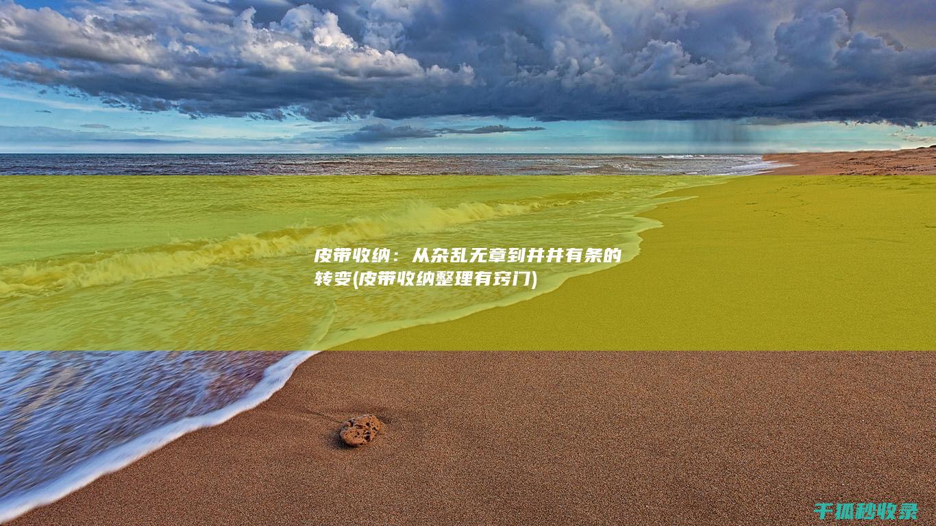 皮带收纳：从杂乱无章到井井有条的转变 (皮带收纳整理有窍门)