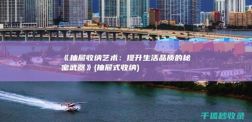 《抽屉收纳艺术：提升生活品质的秘密武器》 (抽屉式收纳)