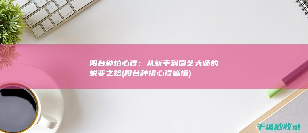 阳台种植心得：从新手到园艺大师的蜕变之路 (阳台种植心得感悟)