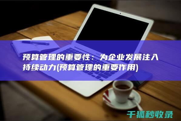 预算管理的重要性：为企业发展注入持续动力 (预算管理的重要作用)