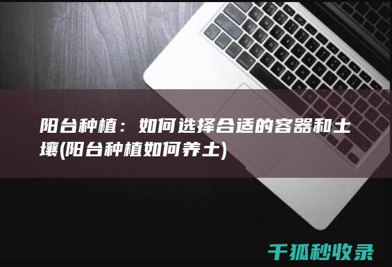 阳台种植：如何选择合适的容器和土壤 (阳台种植如何养土)