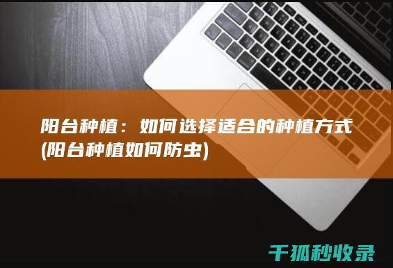 阳台种植：如何选择适合的种植方式 (阳台种植如何防虫)