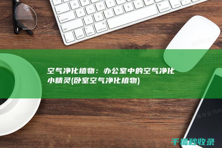 空气净化植物：办公室中的空气净化小精灵 (卧室空气净化植物)