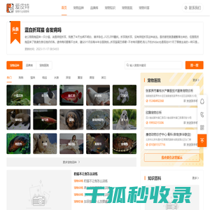 ENZ官网